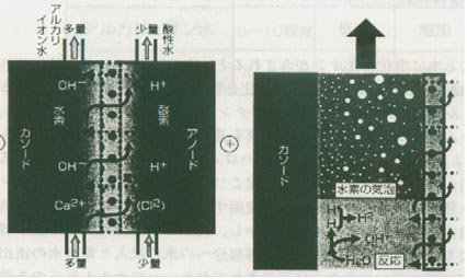 图１　碱离子整水器模式图        图２　氢的发生及其氧泡的成长