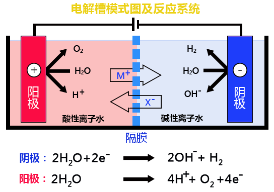 BBRC: 生物化学与生物物理研究